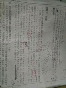 网红政府翻译日语,日本の政治家たちのSNS活躍とその影響