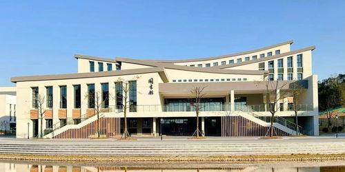 湖南 学院网红,网络红人的崛起与影响