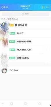 qq群聊名字吃瓜趣事,揭秘“吃瓜趣事”背后的欢乐与热议