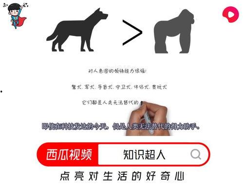 哪些人喜欢玩头条,热衷于头条的多元化人群