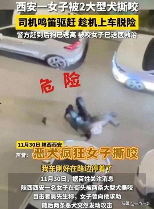 今日头条环卫大叔,城市美容师，默默守护家园的守护者