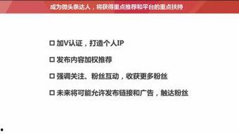 今日头条怎么拉粉丝,轻松打造粉丝增长矩阵