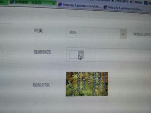 今日头条打字教学视频,轻松掌握高效打字技巧