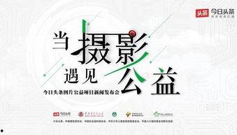 今日头条中国摄影基地,今日头条中国摄影基地魅力探秘