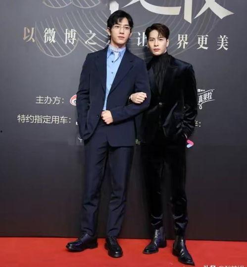 内娱男明星身高图,身高与人气背后的秘密