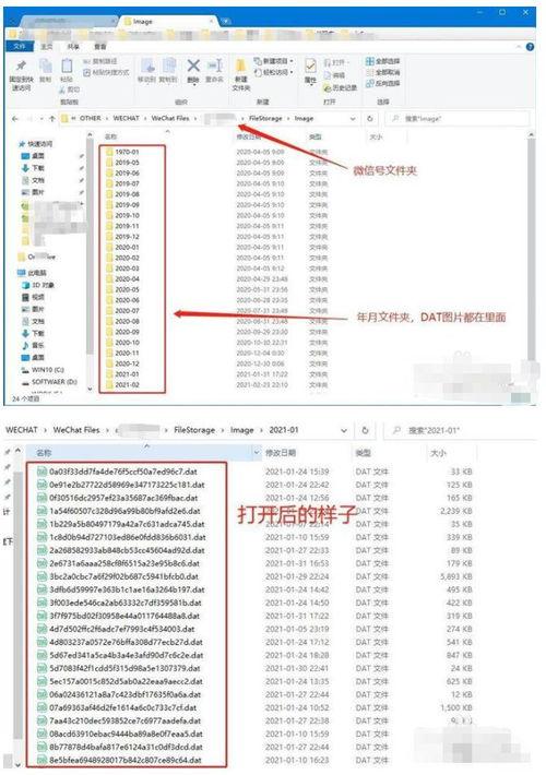 头条上的图片是什么格式,头条图片背后的格式之谜