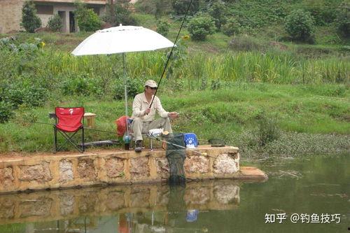 马料河钓鱼直播在哪里看,精彩瞬间尽在掌握