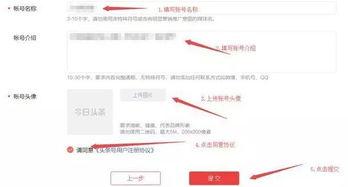 开通头条号自媒体赚钱,头条号赚钱攻略全解析