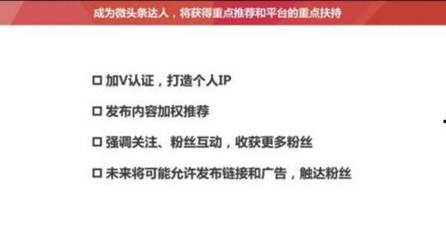 头条号发文章没推荐,助你突破瓶颈！