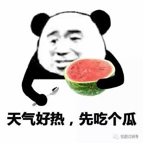 娱乐吃瓜酱东北老铁